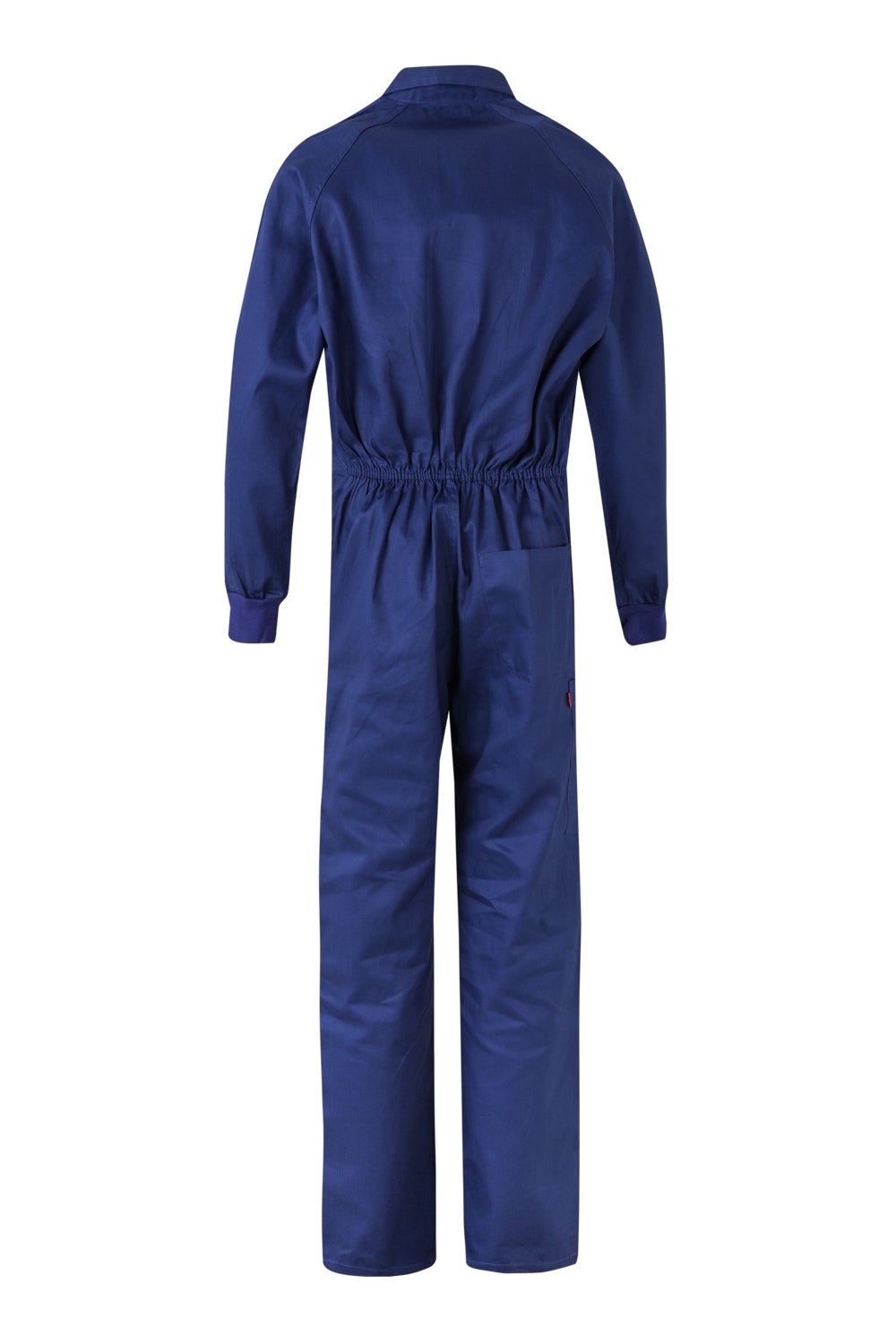 Mono 100% algodón modelo italiano VELILLA 208 - Imagen 37